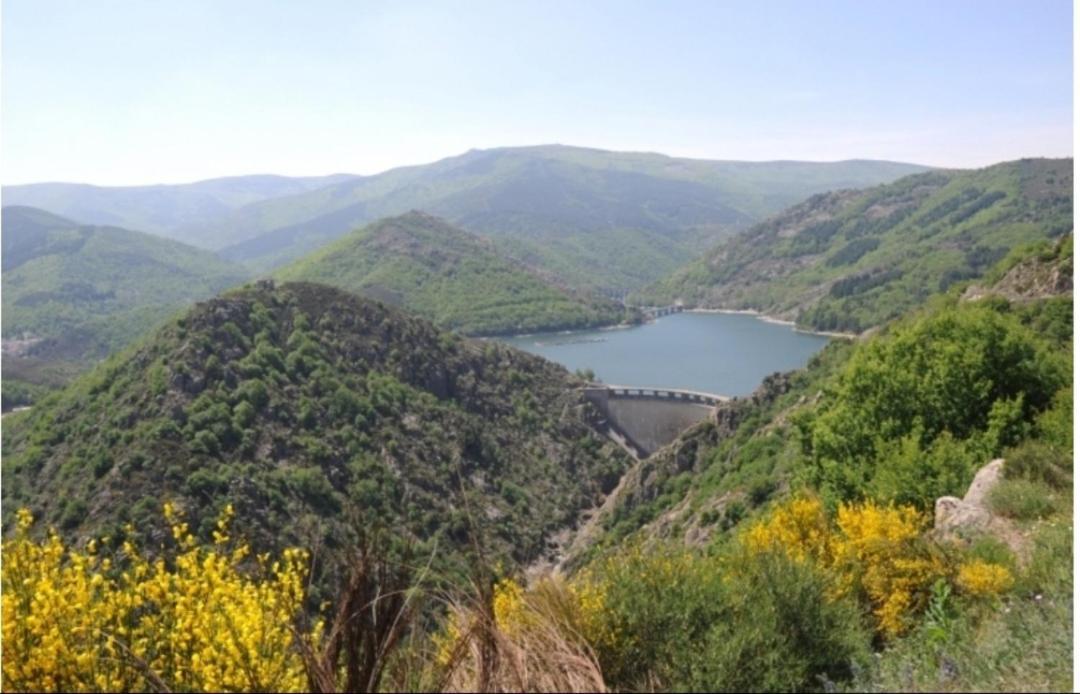 Sur Les Rochers Du Lac & Location-Rando En Vtt ヴィルフォール エクステリア 写真